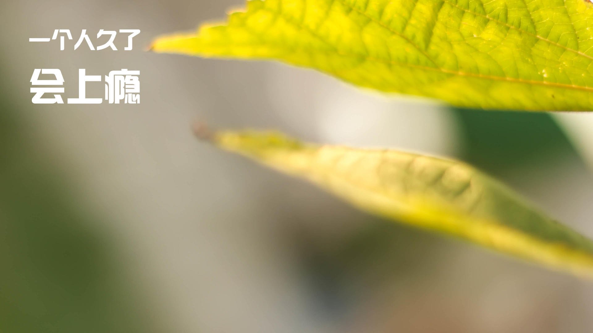 开云官网-CS2 赛事奖金创新高，csgo国际赛事奖金