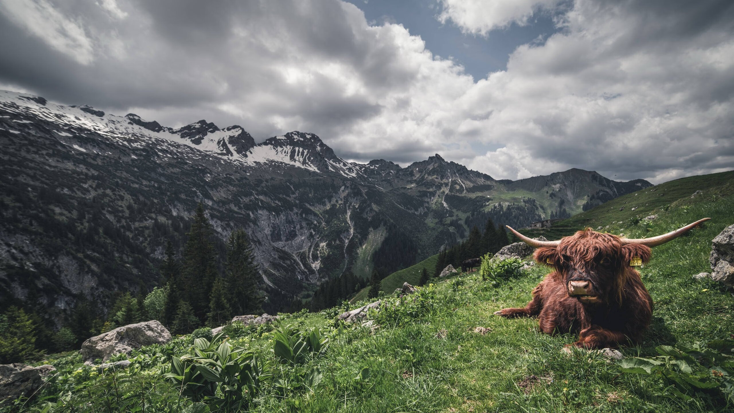 特辑：联盟历史上的极端比赛回顾，联盟史上最精彩bo5