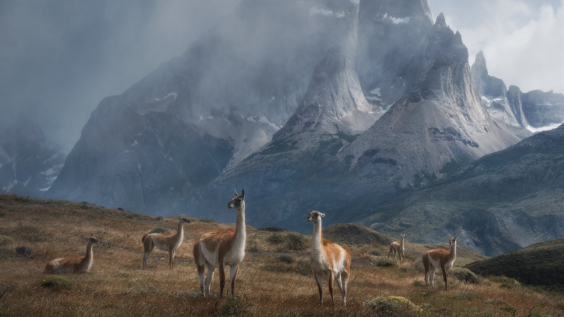 联盟“绿色环保”升级:打造可持续发展的篮球生态,绿蓝环境保护协会
