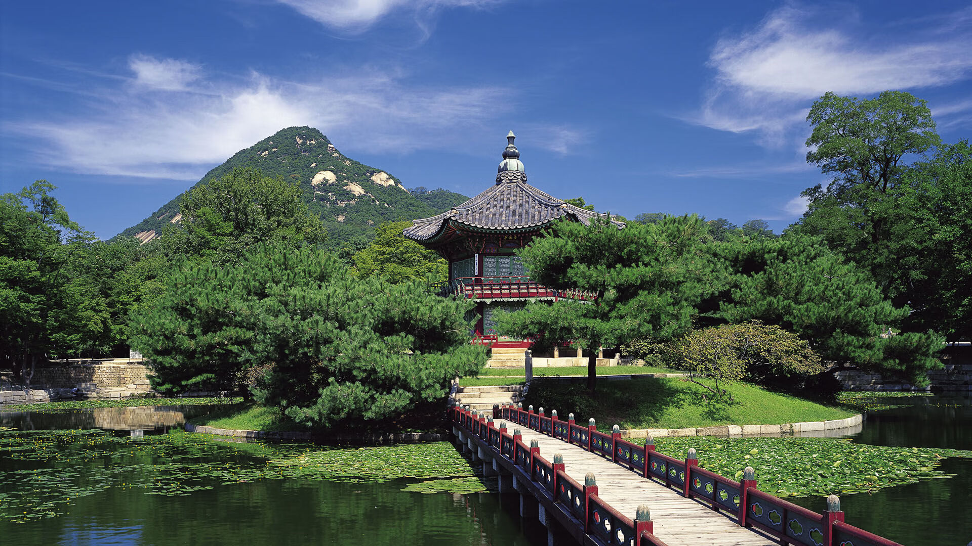 伊朗球队力克对手,晋级前景一片美好,伊朗和伊拉克足球队