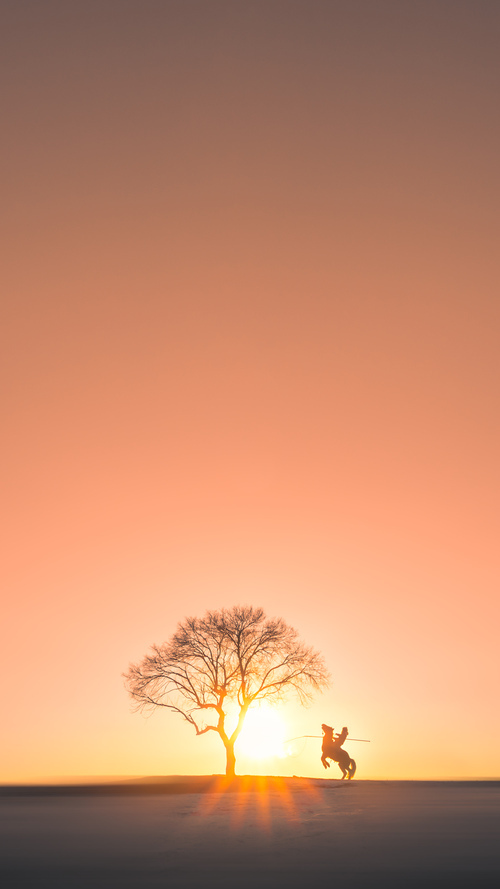 帕德博恩球队在比赛中展现出坚韧不拔的精神,取得胜利,帕德博恩在德国位置