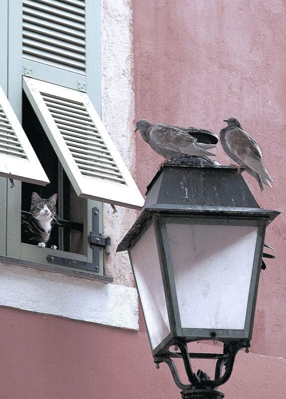 开云官方网站-欧国联赛强队遭遇劲敌，胜负令人期待，欧国联赛比赛结果