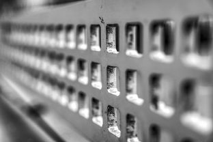 开云中国大陆-青少年体质监测结果区域对比研究，青少年健康体质检测中心