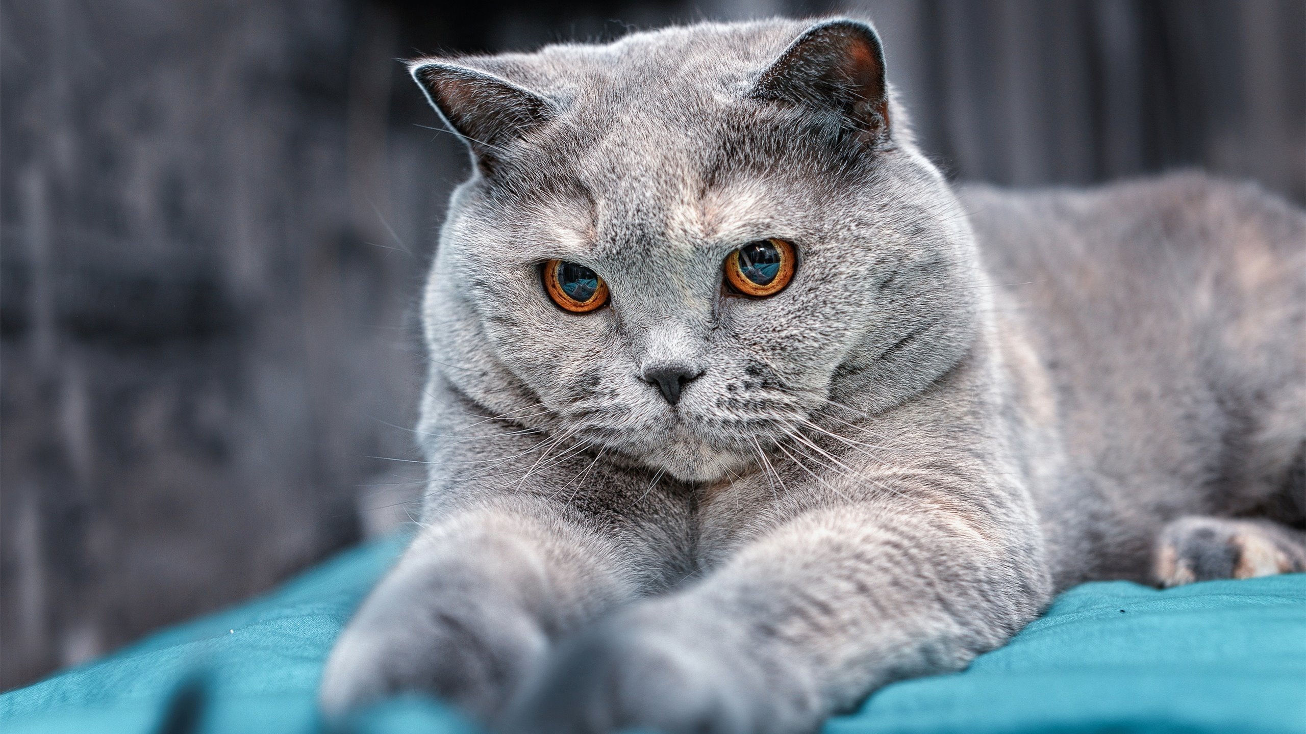 青少年体质监测结果区域对比研究,青少年健康体质检测中心