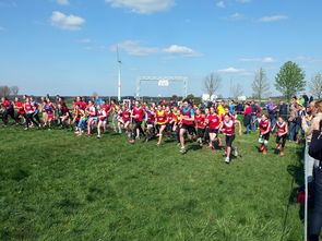 开云官方-体育新闻中心参与制定青少年体育内容发布规范，青少年体育刊物