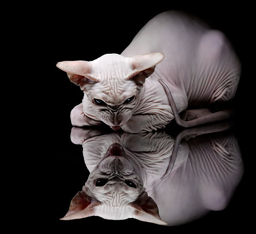 开云官方网站-篮球赛季季后赛竞争白热化，篮球季后赛和常规赛的区别