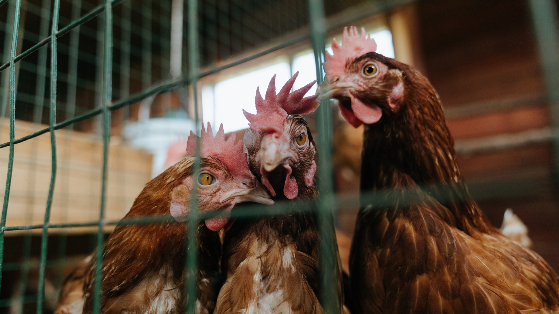 开云·Kaiyun网页版-苏炳添赛季首秀跑出惊艳成绩，苏炳添赛季首秀跑出惊艳成绩是哪一集