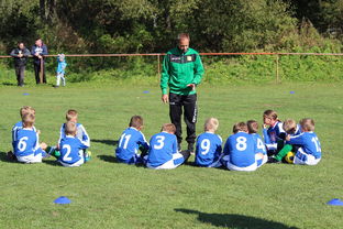 开云中国大陆-德甲战术大变：变化迅速，精彩纷呈，德甲赛制介绍