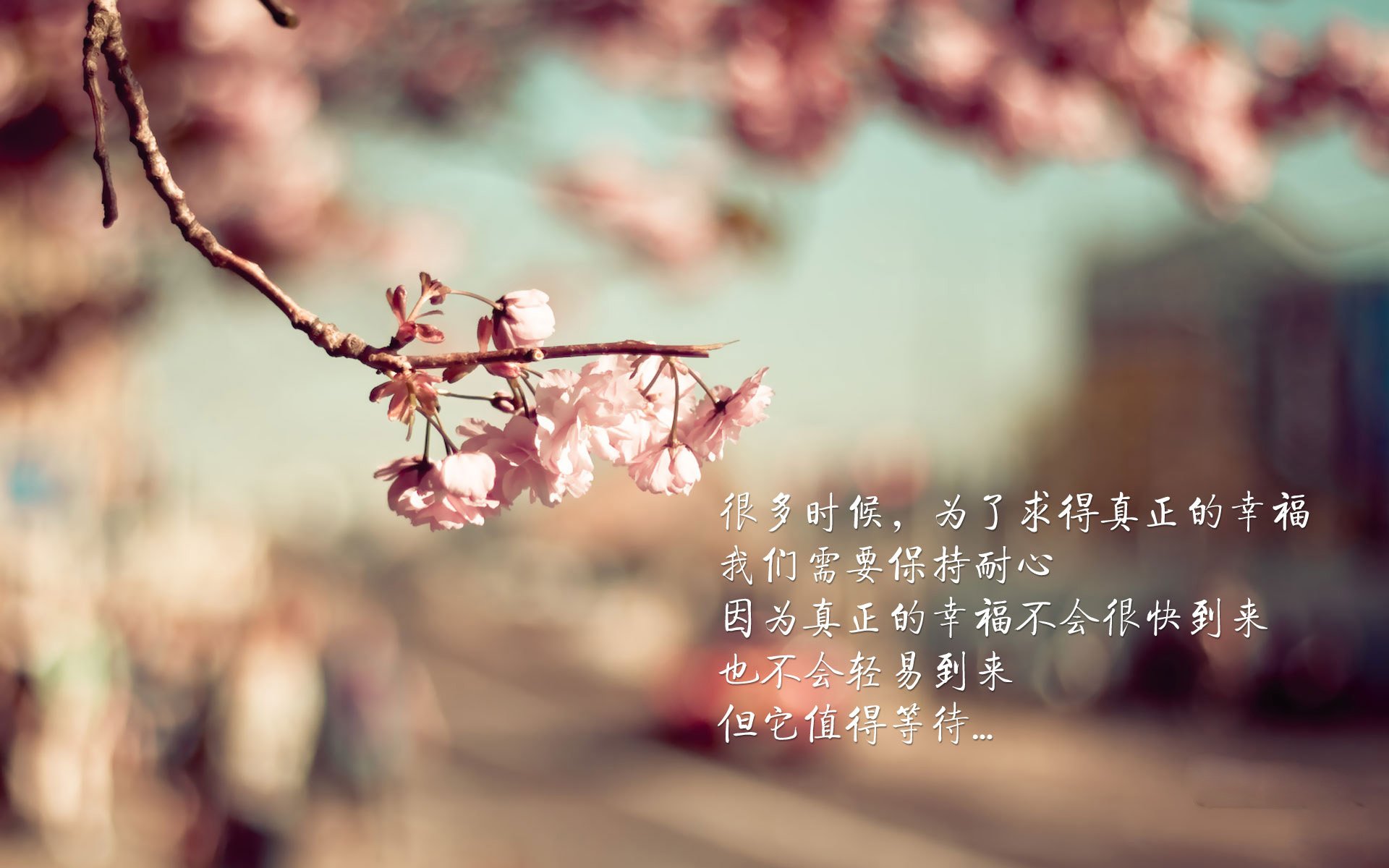 德甲都市战:速度、力量和战术的完美结合,德甲球队城市分布