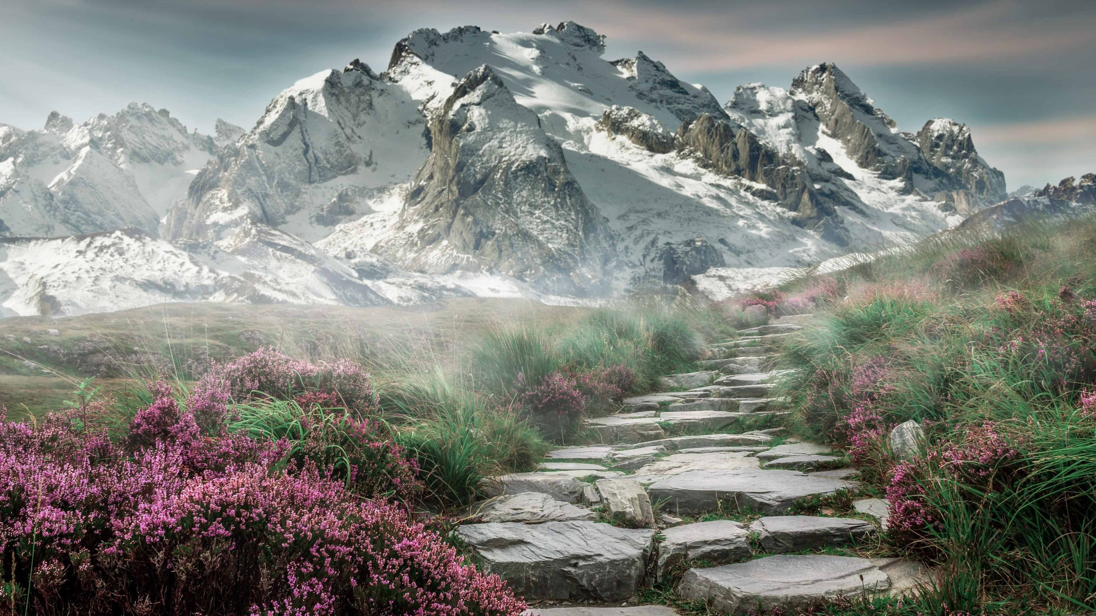 开云·Kaiyun网页版-斯洛伐克女篮在欧洲预赛中不断提升，期待奥运梦想成真，斯洛伐克女子篮球锦标赛